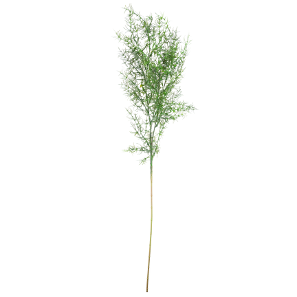 Dekorativer Spargelzweig, Kunstblumen, als Ergänzung für Blumensträuße, 80 cm