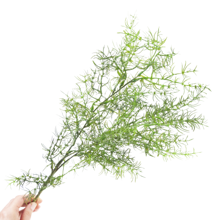 Dekorativer Spargelzweig, Kunstblumen, als Ergänzung für Blumensträuße, 80 cm
