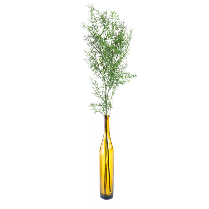 Dekorativer Spargelzweig, Kunstblumen, als Ergänzung für Blumensträuße, 80 cm