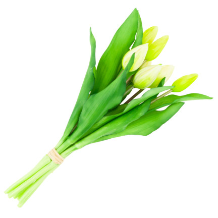 CV18674-1 TULIPS BUNCH Gummier Gummi als lebendes Silikon WEISS ECRU
