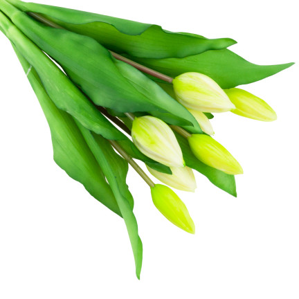 CV18674-1 TULIPS BUNCH Gummier Gummi als lebendes Silikon WEISS ECRU