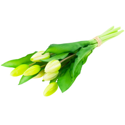 CV18674-1 TULIPS BUNCH Gummier Gummi als lebendes Silikon WEISS ECRU