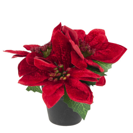 CV19864 STERN VON BETLEHEM IN EINEM TOPF KÜNSTLICHE VELOUR POINSETTIA REALISTISCH