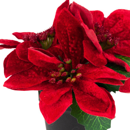 CV19864 STERN VON BETLEHEM IN EINEM TOPF KÜNSTLICHE VELOUR POINSETTIA REALISTISCH