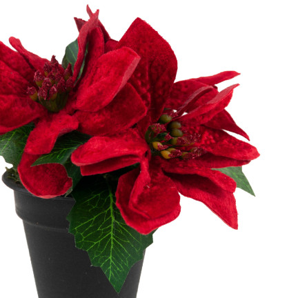 CV19864 STERN VON BETLEHEM IN EINEM TOPF KÜNSTLICHE VELOUR POINSETTIA REALISTISCH