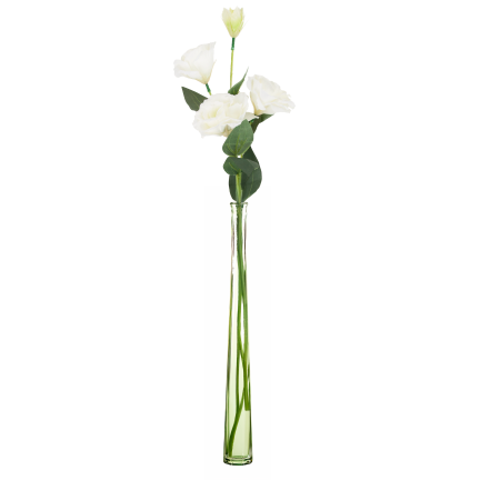 CV21840-1 Eustoma, Zweig mit 4 Blütenständen, zarte weiße Wildrose