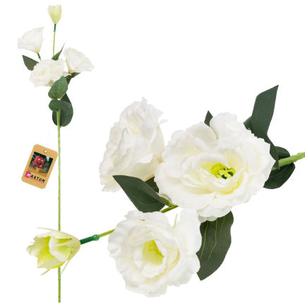 CV21840-1 Eustoma, Zweig mit 4 Blütenständen, zarte weiße Wildrose