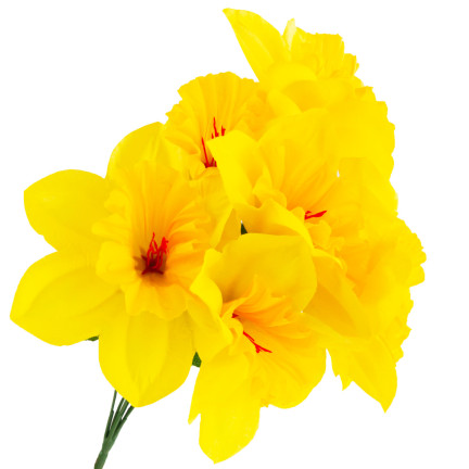 CV22107 Narzissen-Strauß, künstliche Narzissen, Blumen für die Vase, Frühlingsarrangement