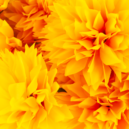 CV23704-3 WEIHNACHTEN BUNCH VON 12 KUNSTBLUMEN 50CM gelb