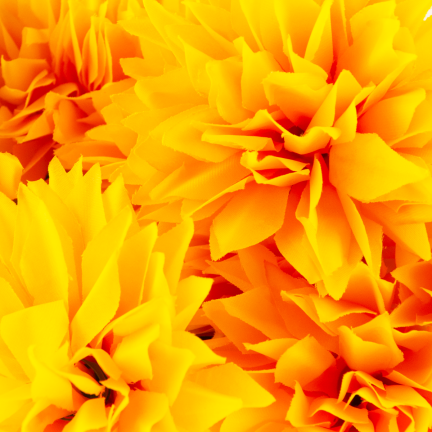 CV23704-3 WEIHNACHTEN BUNCH VON 12 KUNSTBLUMEN 50CM gelb