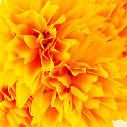 CV23704-3 WEIHNACHTEN BUNCH VON 12 KUNSTBLUMEN 50CM gelb