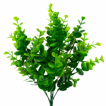 CV26478 BUNCH BUNCH BUNCH BUNCH BORROW für Stechpalme