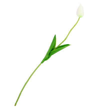 CV26799-1 KÜNSTLICHE TULIPANEN GUMMED WHITE SCHÖN WIE LIVE PIANO TULIPS Schilf
