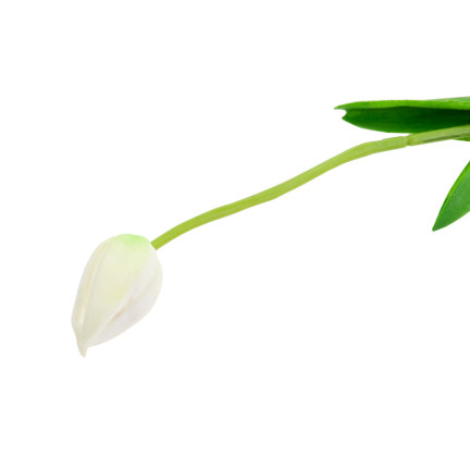 CV26799-1 KÜNSTLICHE TULIPANEN GUMMED WHITE SCHÖN WIE LIVE PIANO TULIPS Schilf