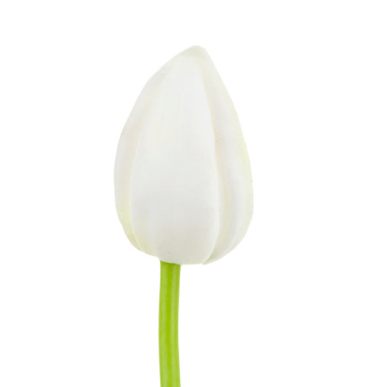 CV26799-1 KÜNSTLICHE TULIPANEN GUMMED WHITE SCHÖN WIE LIVE PIANO TULIPS Schilf