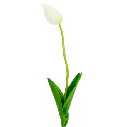 CV26799-1 KÜNSTLICHE TULIPANEN GUMMED WHITE SCHÖN WIE LIVE PIANO TULIPS Schilf