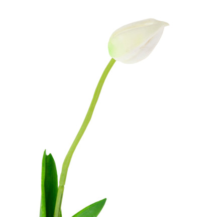 CV26799-1 KÜNSTLICHE TULIPANEN GUMMED WHITE SCHÖN WIE LIVE PIANO TULIPS Schilf