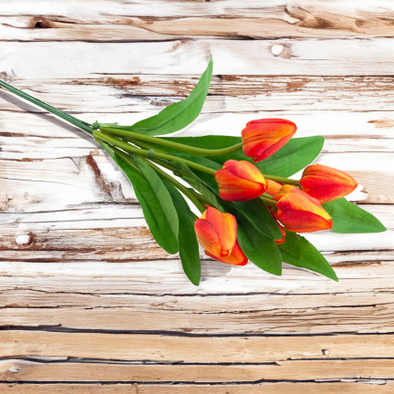 CV26813-3 TULPENSTRAUSS SCHÖN WIE LEBEN TULPEN ORANGE BLUMEN X9