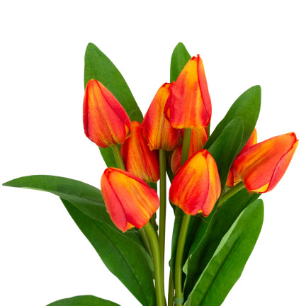 CV26813-3 TULPENSTRAUSS SCHÖN WIE LEBEN TULPEN ORANGE BLUMEN X9