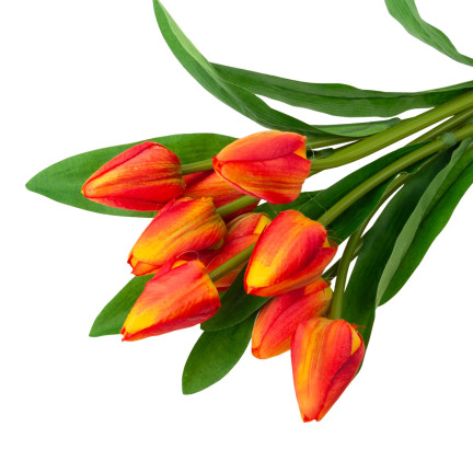 CV26813-3 TULPENSTRAUSS SCHÖN WIE LEBEN TULPEN ORANGE BLUMEN X9