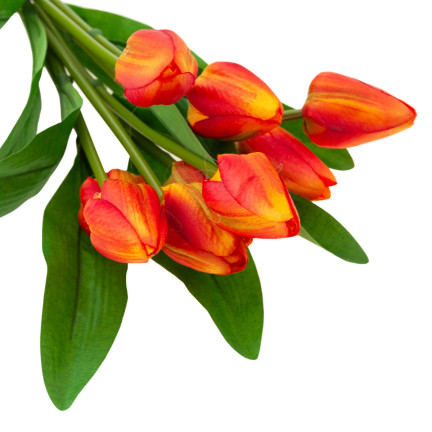 CV26813-3 TULPENSTRAUSS SCHÖN WIE LEBEN TULPEN ORANGE BLUMEN X9