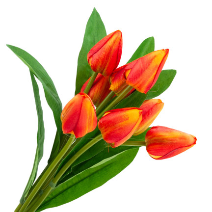 CV26813-3 TULPENSTRAUSS SCHÖN WIE LEBEN TULPEN ORANGE BLUMEN X9