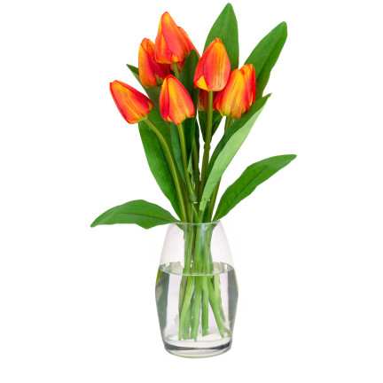 CV26813-3 TULPENSTRAUSS SCHÖN WIE LEBEN TULPEN ORANGE BLUMEN X9