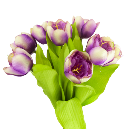 CV27020-10 Tulpenzwiebel mit gummibeschichtetem Stiel x 9 lila Köpfe