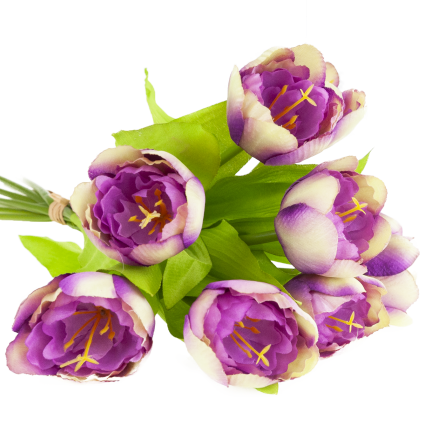 CV27020-10 Tulpenzwiebel mit gummibeschichtetem Stiel x 9 lila Köpfe