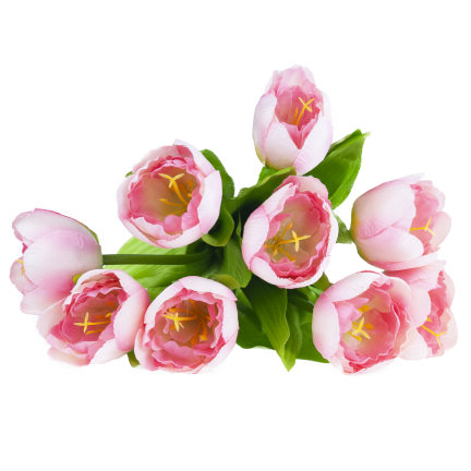 CV27020-5 TULIPAN BUNCH X9 rosa
