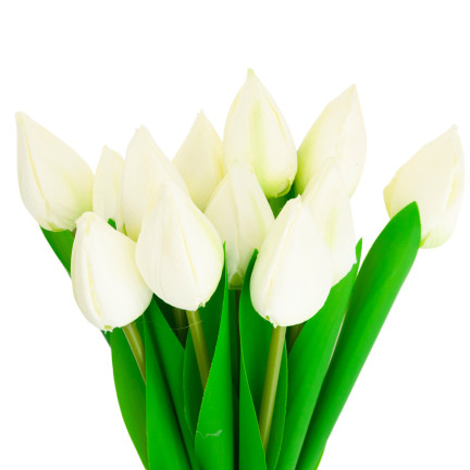 CV27025-1 TULPEN STRAUSS SCHÖN WIE LEBEN TULPE BLUMEN WEISS 12 BLUMEN