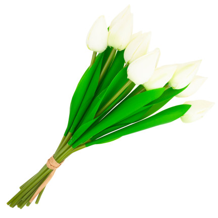 CV27025-1 TULPEN STRAUSS SCHÖN WIE LEBEN TULPE BLUMEN WEISS 12 BLUMEN