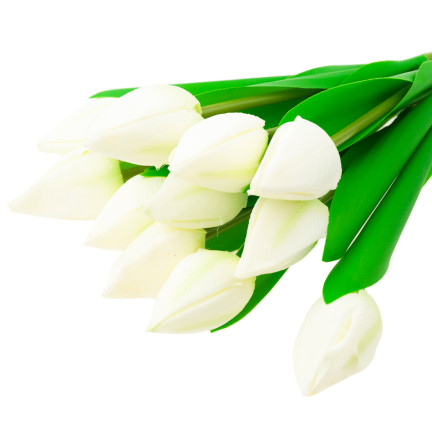 CV27025-1 TULPEN STRAUSS SCHÖN WIE LEBEN TULPE BLUMEN WEISS 12 BLUMEN