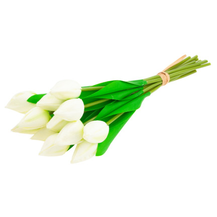 CV27025-1 TULPEN STRAUSS SCHÖN WIE LEBEN TULPE BLUMEN WEISS 12 BLUMEN