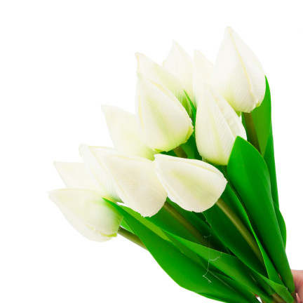 CV27025-1 TULPEN STRAUSS SCHÖN WIE LEBEN TULPE BLUMEN WEISS 12 BLUMEN