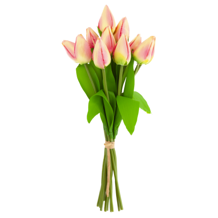 CV27025-2 TULPENSTRAUSS 12 GESCHLOSSENE ROSA KÖPFE