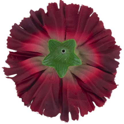 CV27191-37 Nelke Nelke Kopf Blume 10cm Premium