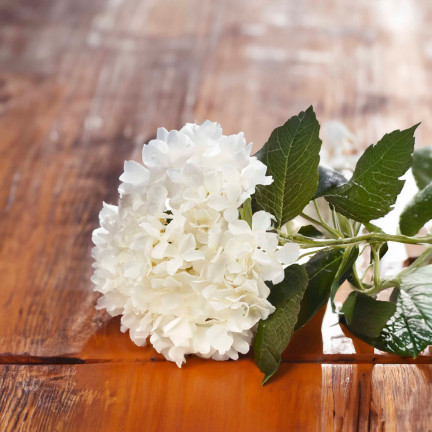 CV28571-1 HORTENSIE DICHTEN SCHÖNEN STRAUSS VON HORTENSIEN KÜNSTLICHE BLUMEN WIE LIVE-WEISS X5