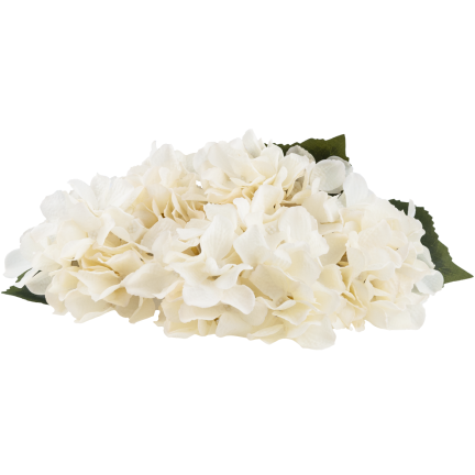 CV28571-2 HORTENSIE DICHTER STRAUSS VON 5 HORTENSIENBLÜTEN 50CM FÜR SCHILFVASE