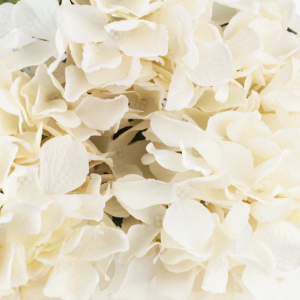 CV28571-2 HORTENSIE DICHTER STRAUSS VON 5 HORTENSIENBLÜTEN 50CM FÜR SCHILFVASE