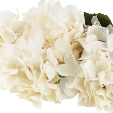 CV28571-2 HORTENSIE DICHTER STRAUSS VON 5 HORTENSIENBLÜTEN 50CM FÜR SCHILFVASE