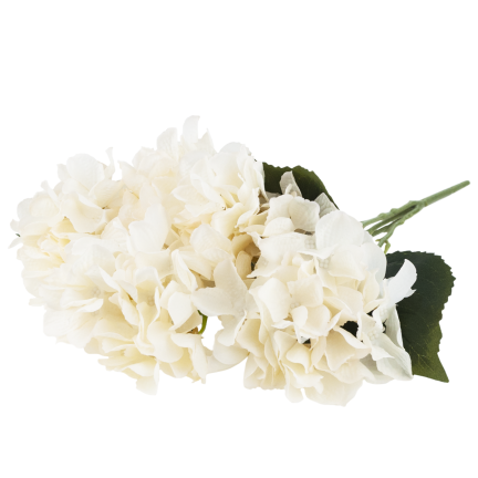 CV28571-2 HORTENSIE DICHTER STRAUSS VON 5 HORTENSIENBLÜTEN 50CM FÜR SCHILFVASE