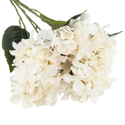 CV28571-2 HORTENSIE DICHTER STRAUSS VON 5 HORTENSIENBLÜTEN 50CM FÜR SCHILFVASE