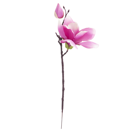 Ein Zweig künstlicher Magnolien, Magnolien für die Vase oder den Blumenstrauß, naturgetreu, rosa Blüte