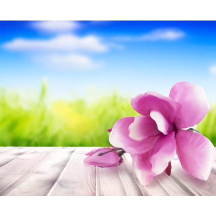 Ein Zweig künstlicher Magnolien, Magnolien für die Vase oder den Blumenstrauß, naturgetreu, rosa Blüte