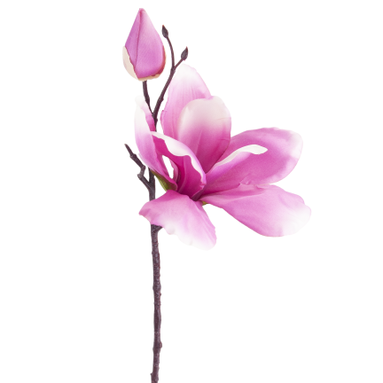Ein Zweig künstlicher Magnolien, Magnolien für die Vase oder den Blumenstrauß, naturgetreu, rosa Blüte