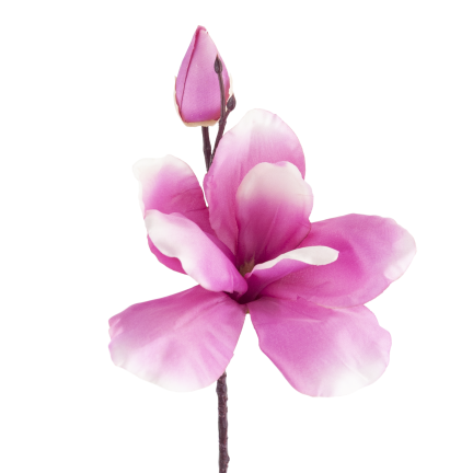 Ein Zweig künstlicher Magnolien, Magnolien für die Vase oder den Blumenstrauß, naturgetreu, rosa Blüte