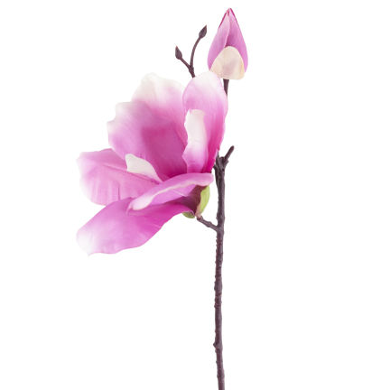 Ein Zweig künstlicher Magnolien, Magnolien für die Vase oder den Blumenstrauß, naturgetreu, rosa Blüte