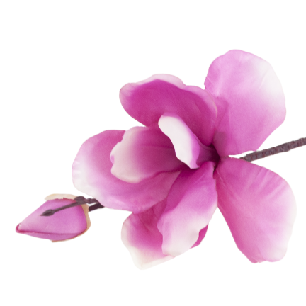 Ein Zweig künstlicher Magnolien, Magnolien für die Vase oder den Blumenstrauß, naturgetreu, rosa Blüte