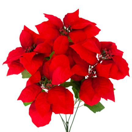 CV28909 BETLEMEE STAR Weihnachtsblumenstrauß LARGE POINTS 5pcs